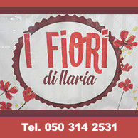 I FIORI DI ILARIA