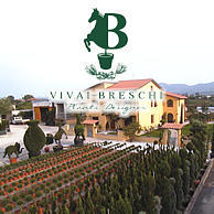 VIVAI BRESCHI